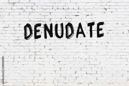 White wall with black paint inscription denudate on it