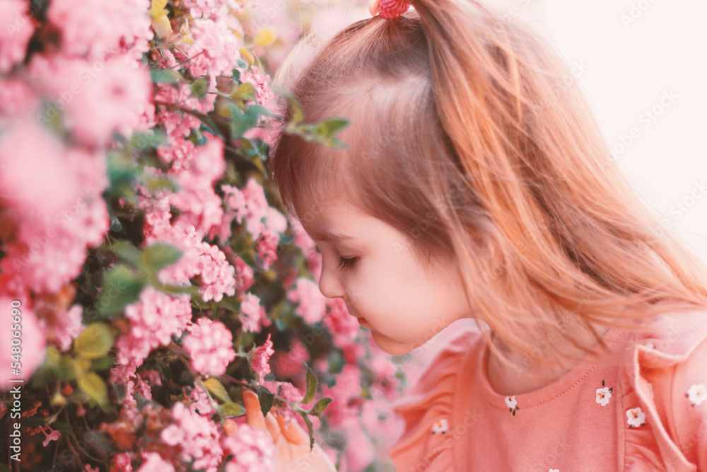 Fototapeta premium Little girl wear casual dress walking in park, smelling pink blooming flowers.
