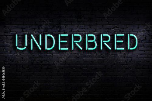 Neon sign. Word underbred against brick wall. Night view photo