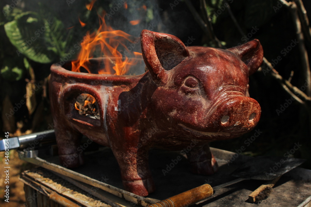pig on the farm pig on the farm