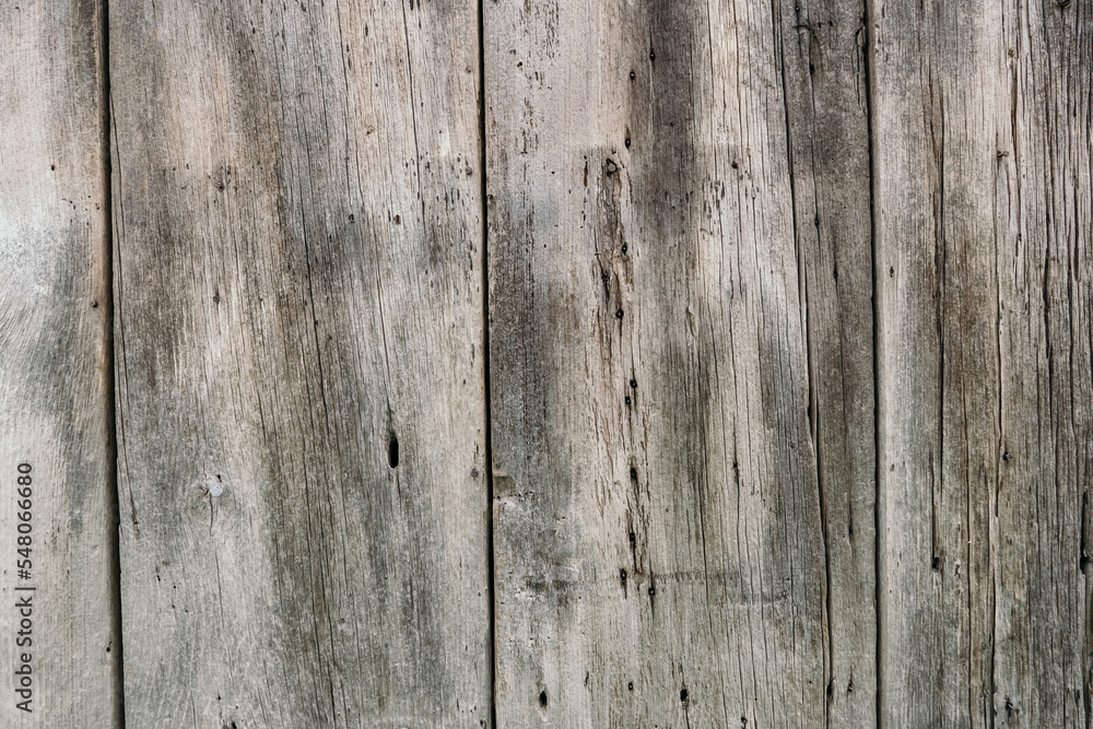 Naklejka premium Background in the form of old wooden boards. Dilapidated rotten boards in the form of a wall or fence. Free space for text. Background of dry wood in the form of boards nailed to each other
