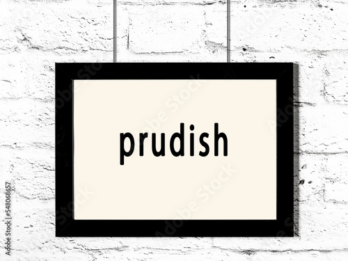 Black frame hanging on white brick wall with inscription prudish photo