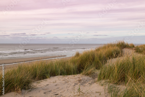 Dunes and beach on the North Sea on the Dutch island of Texel.