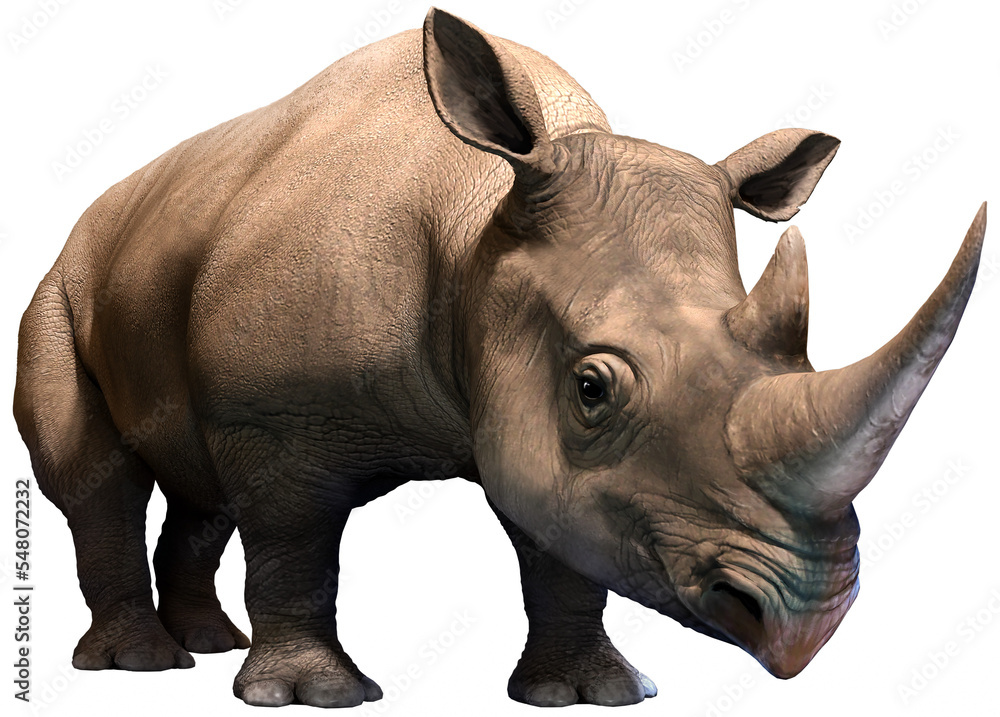 Fototapeta premium Black rhino standing 3D illustration 