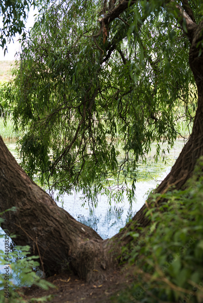 Naklejka premium Copenaghen