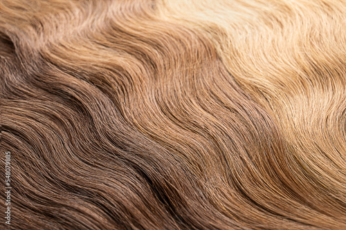 Hair extension close-up with blur.