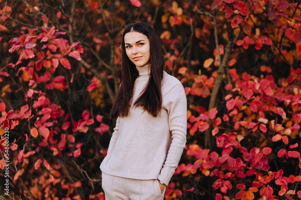 Portrait, photograph of a beautiful girl, a brunette woman in an expensive beige brunette suit in autumn against the background of red bushes with leaves. Portrait, photograph of a beautiful girl, a brunette woman in an expensive beige brunette suit in autumn against the background of red bushes with leaves.