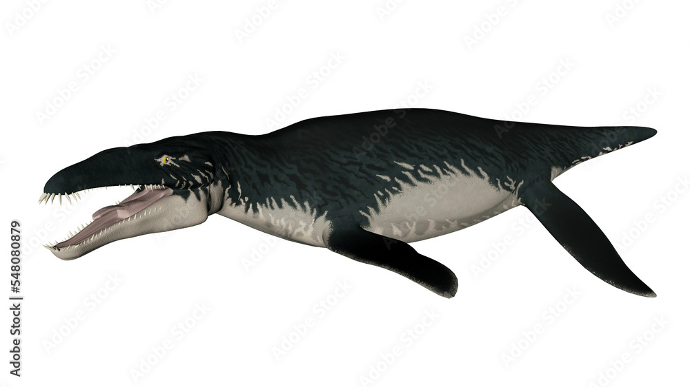 Fototapeta premium Liopleurodon prehistoric fish - 3D render