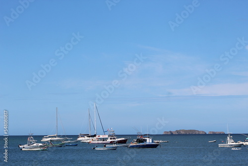 boats in the harbor
