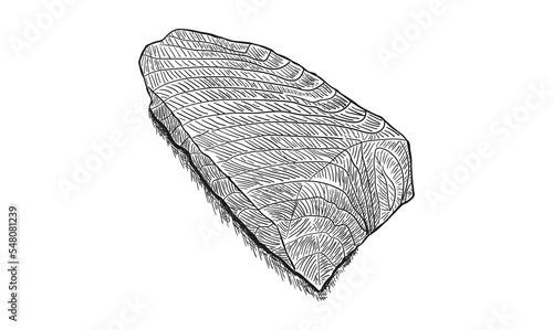 Hand drawn salmon fillet vector illustration. Engraved style vintage seafood. Great for fish and sea food restaurant menu, flyer, card, business promotion.