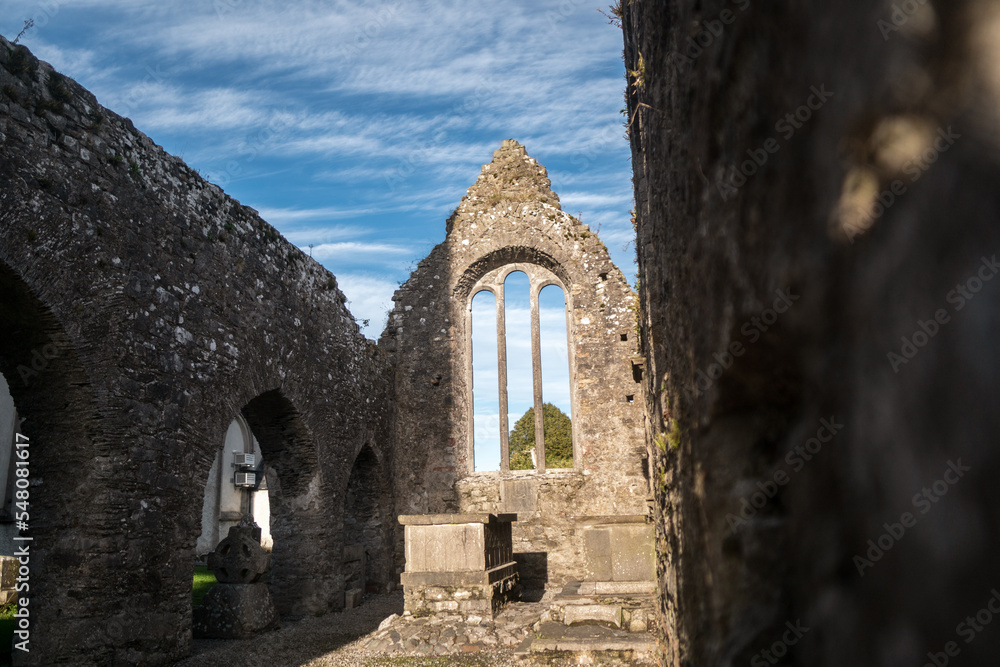 St Mary's Abbey in Duleek, Ireland.