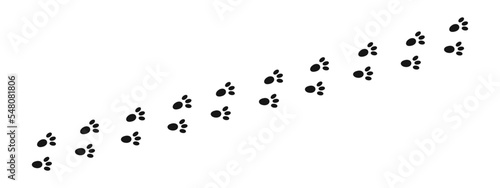 Bunny pawprints. Rabbit paw stamps. Trace of wet or mud steps of running or walking hare isolated on white background. Vector graphic illustration.