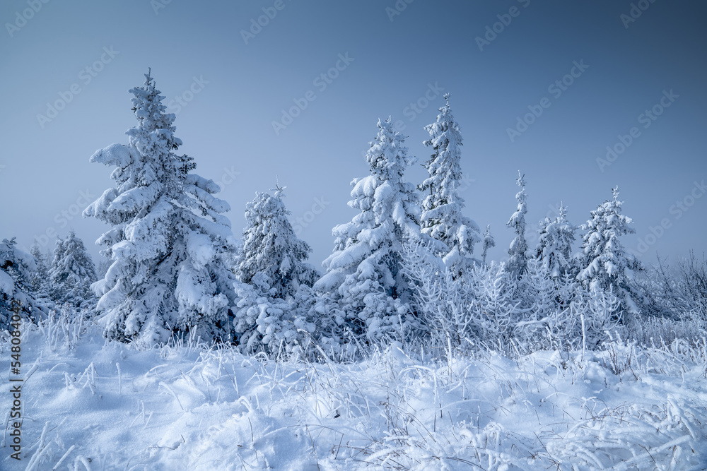 Naklejka premium Scenic winter morning