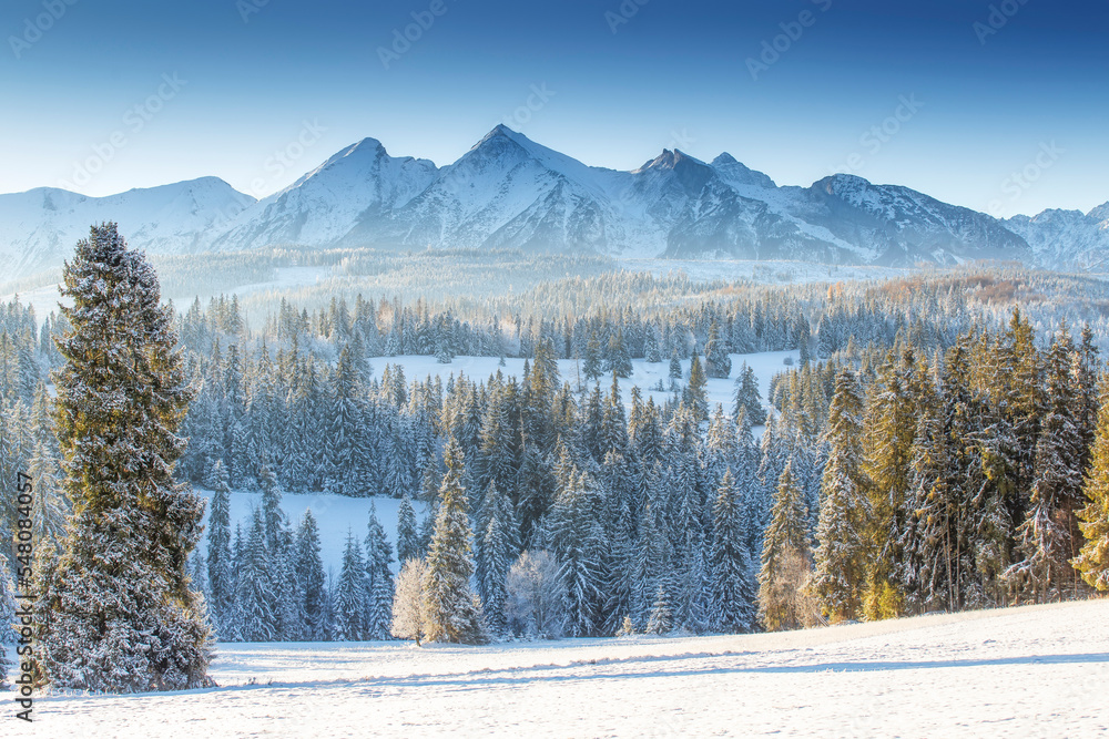Winter scenic landscape
