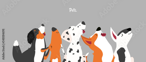 Vector illustration of cute dogs in flats style. Popular dog breeds: Dalmatian, Corgi, Bull Terrier, Dachshund. Poster, banner for pet store, veterinary clinic. Stylish illustration with pets.