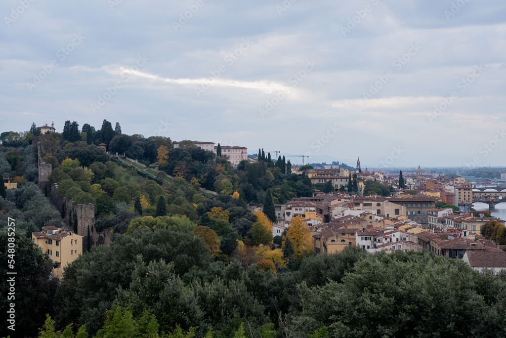 View of  Florence city, Tuscany, Italy. Panorama