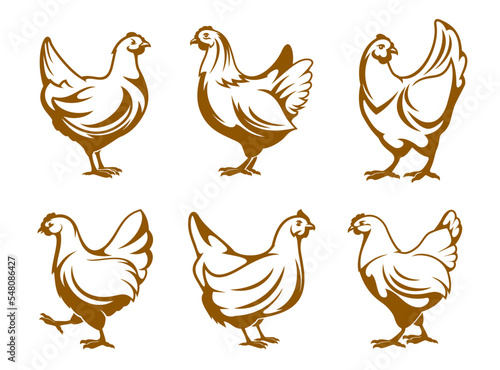Hen icons, chicken farm and poultry meat vector symbols of farmhouse bird. Chicken or hen flat emblems for farm products, eggs and fowl meat, cattle farm food and organic shop signs