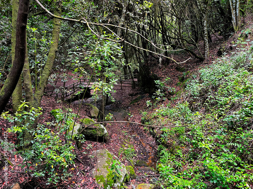 Small corner in the middle of the forest