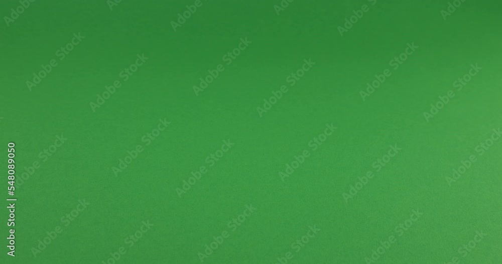 White swan feathers fall on a green background. Slow motion. White swan feathers fall on a green background. Slow motion.