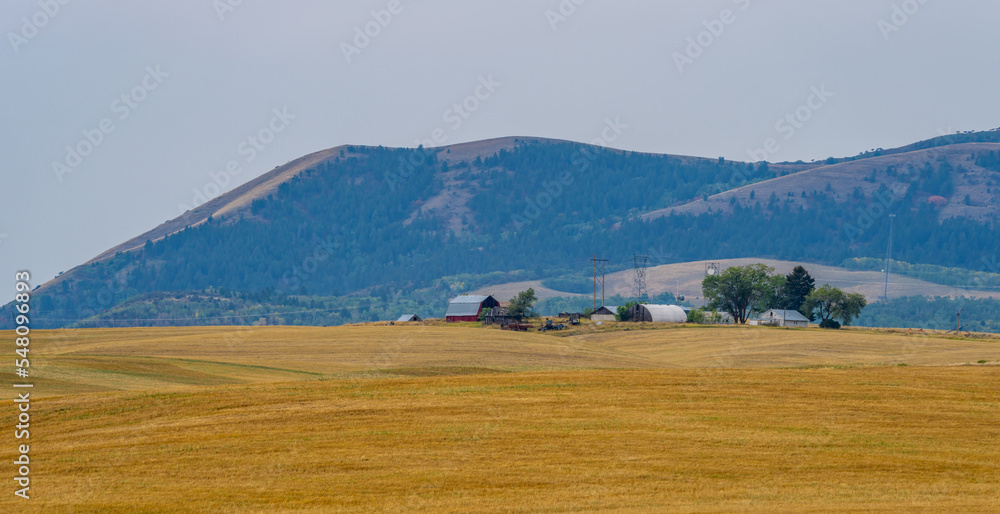 Wyoming Farm in Late Summer