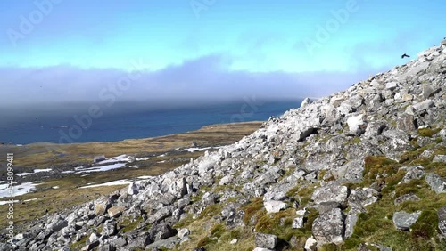 Svalbard landscape at summer with little auk flying, 2022
Rocky hill with sea in the summer, North pole, 2022
 photo