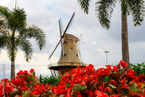 Holambra's windmill and flowers 