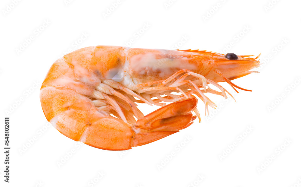 Cooked shrimps isolated on transparent png Cooked shrimps isolated on transparent png