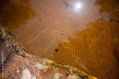 red rocks in a stream iof tannin water