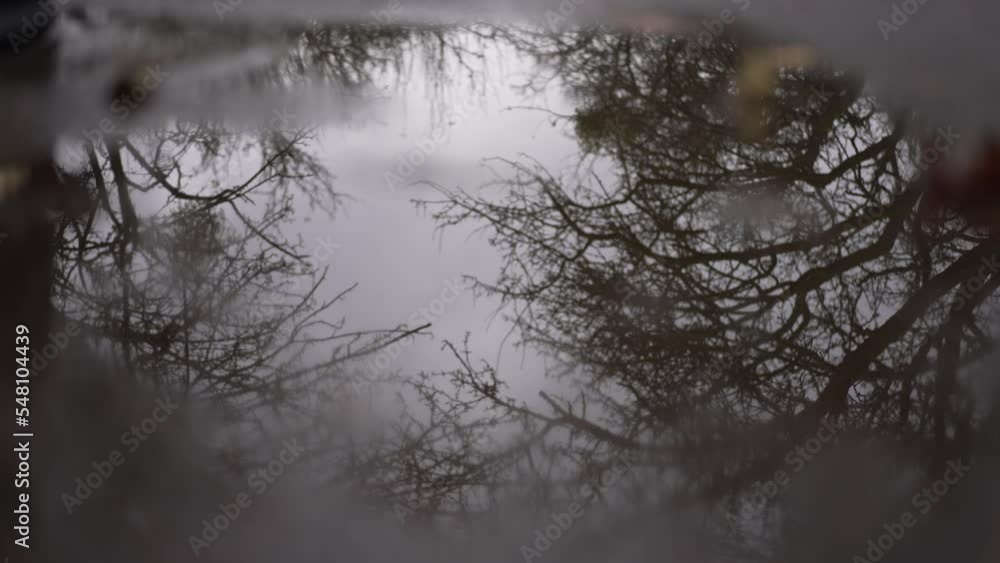 Close-up puddle on park alley with Caucasian young man reflection passing at background of overcast sky. Confident elegant guy walking in autumn forest on cloudy day reflecting in rain water Close-up puddle on park alley with Caucasian young man reflection passing at background of overcast sky. Confident elegant guy walking in autumn forest on cloudy day reflecting in rain water