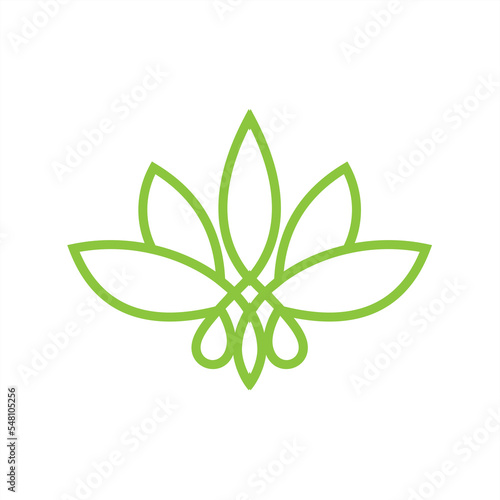 Luxury leaf Cannabis or Marijuana Leaf in the frame for Icon and Logos Concept