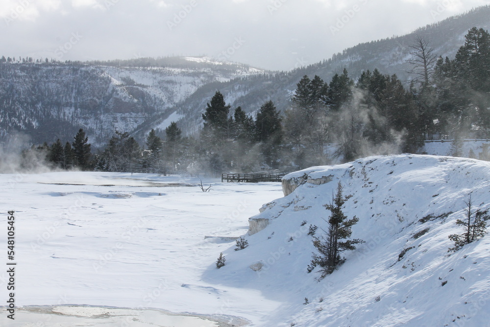 Fototapeta premium winter in the mountains