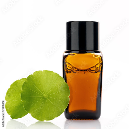 Close up centella asiatica extract in amber bottle with centella asiatica leaves isolated on white background.