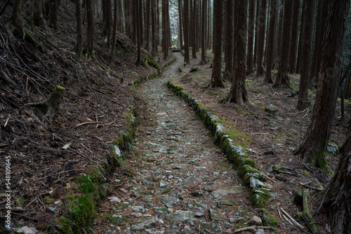 石畳の道