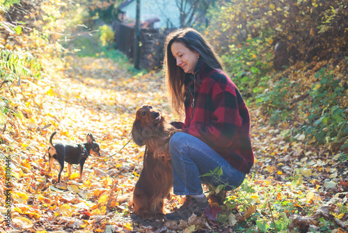 Photography Process of walking with two dogs in a countryside park, joy of having multiple d