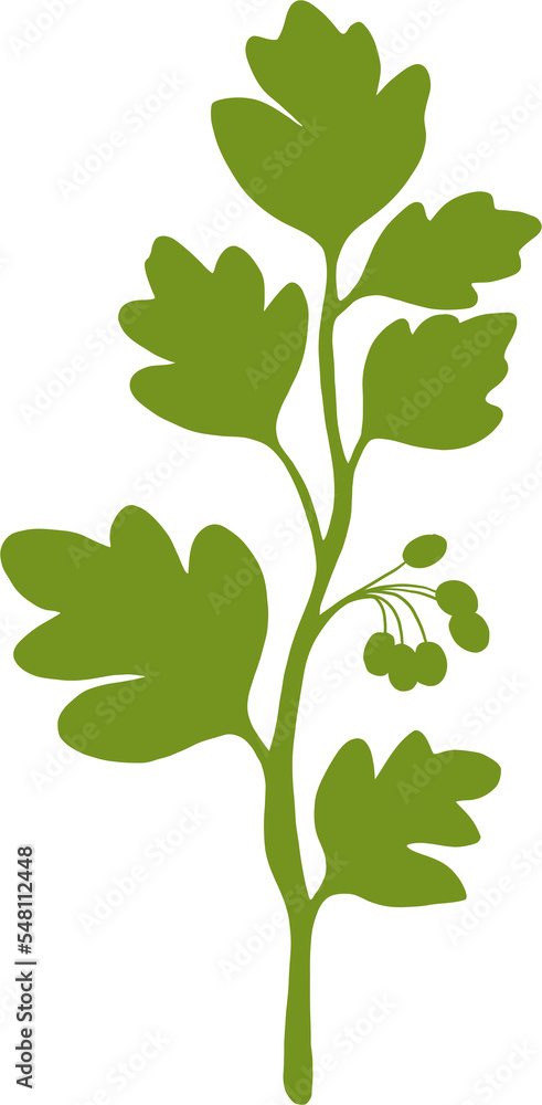 Obraz premium simplicity floral freehand drawing flat design.