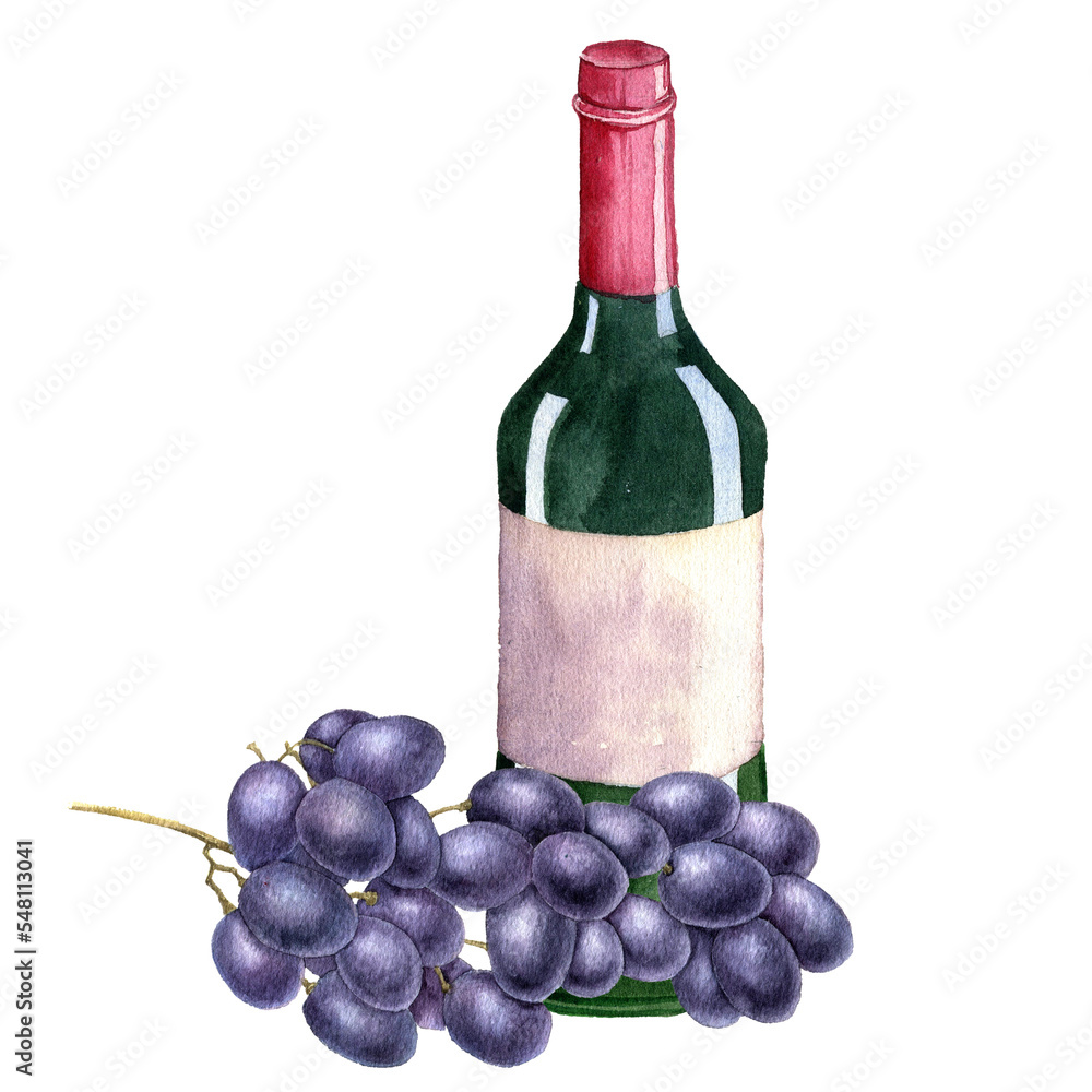 watercolor drawing green glass bottle of wine and grape at white background, hand drawn illustration watercolor drawing green glass bottle of wine and grape at white background, hand drawn illustration
