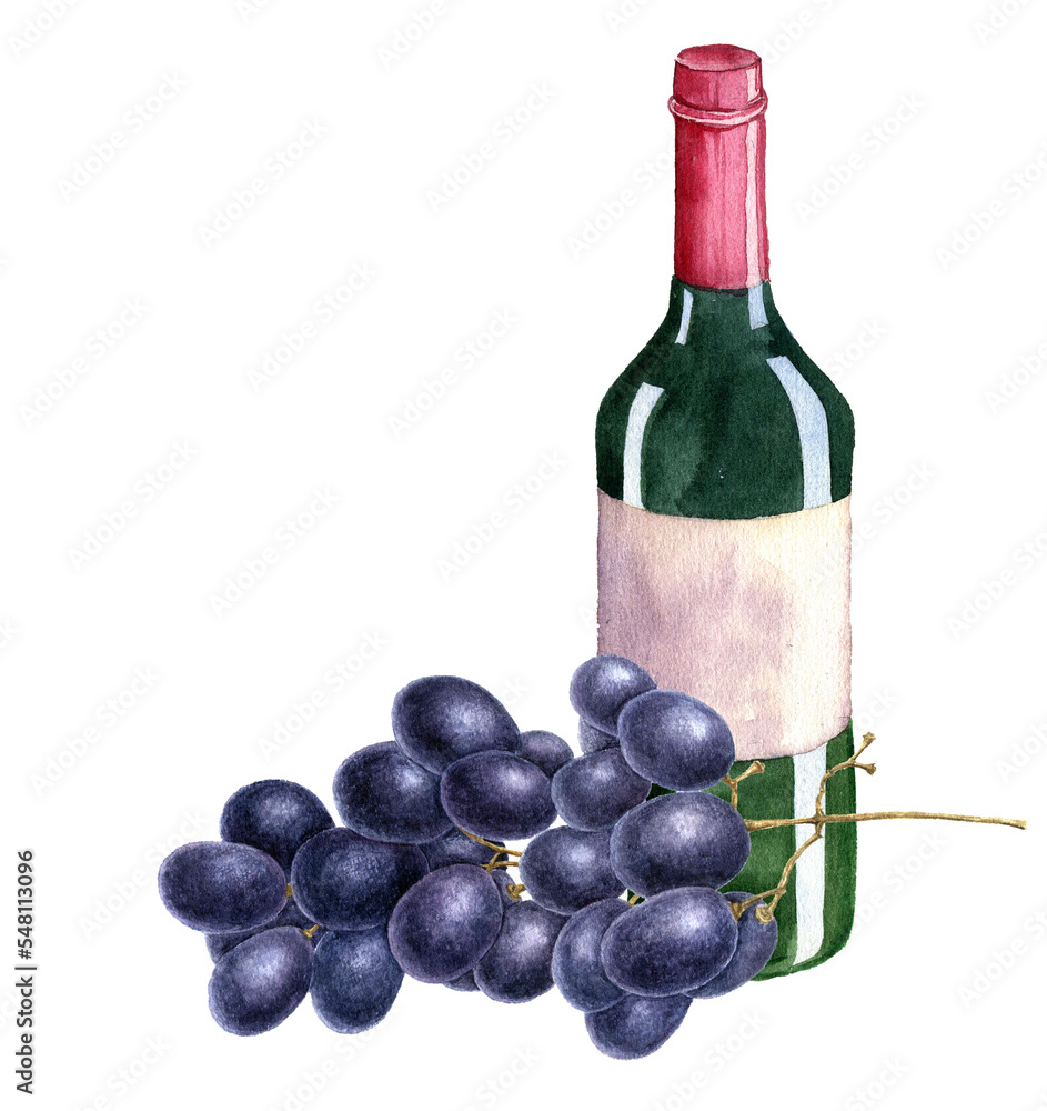 watercolor drawing green glass bottle of wine and grape at white background, hand drawn illustration watercolor drawing green glass bottle of wine and grape at white background, hand drawn illustration