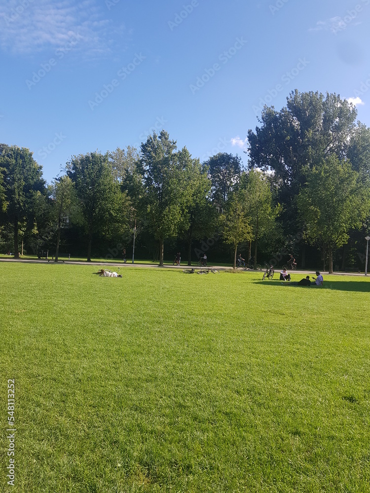 Obraz premium golf course