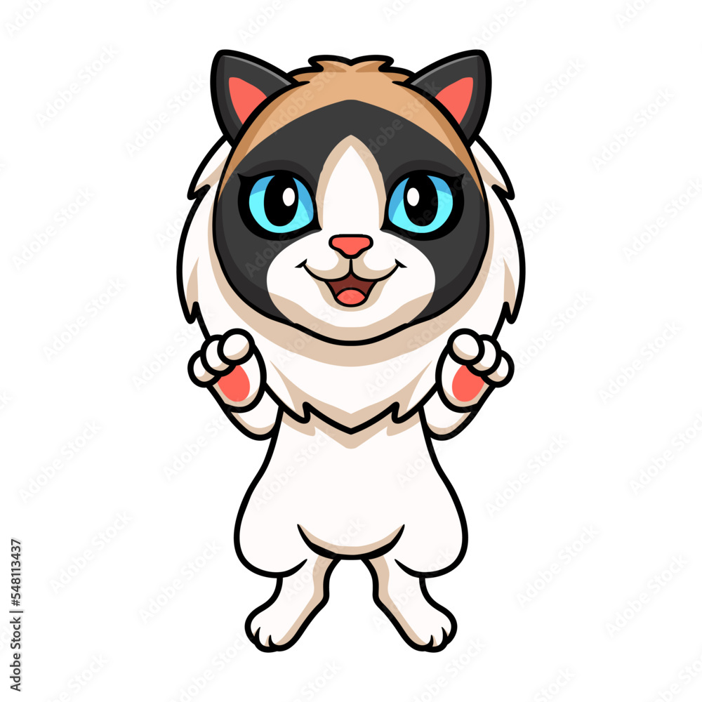 Cute rag doll cat cartoon