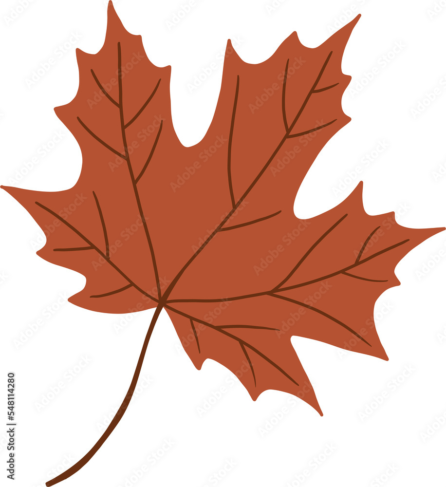 Obraz premium simplicity maple freehand drawing flat design.