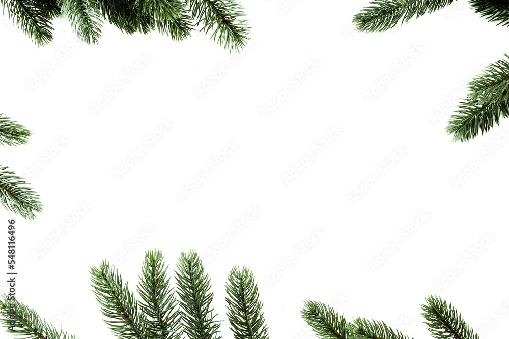 Christmas pine leaves decoration frame border isolate. Use for Merry Christmas and New Year holiday background design.