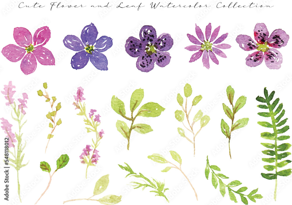 set of colorful spring wild flower and leaf watercolor set of colorful spring wild flower and leaf watercolor