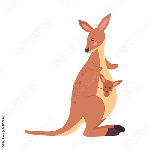 kangaroo exotic australian animal
