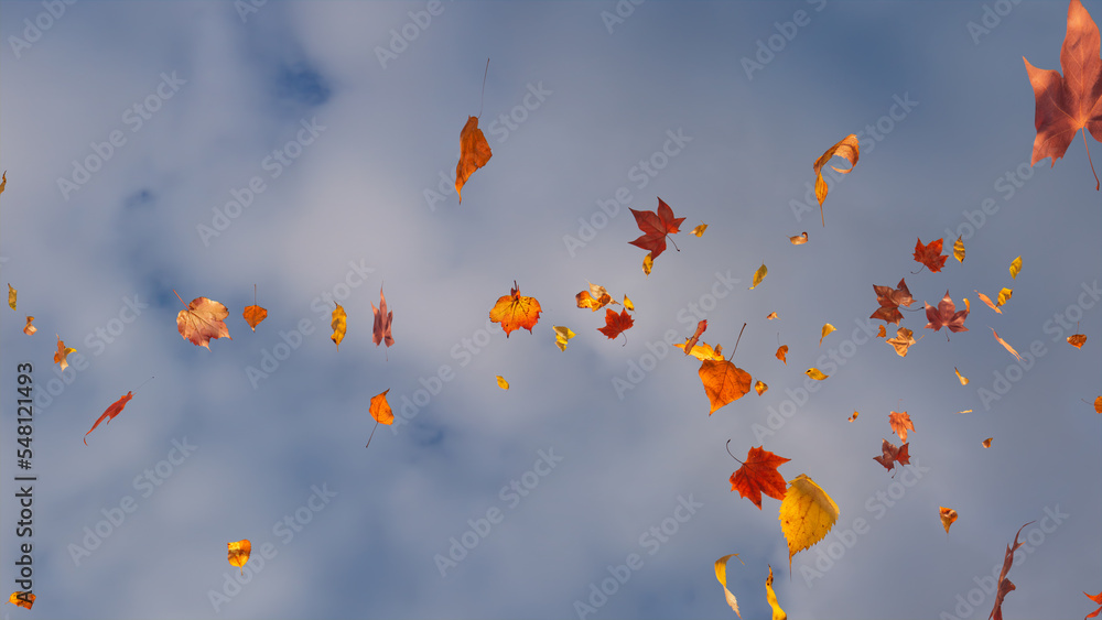 Holiday Background with Fall Leaves blowing in the wind. Cloudy Sky ...