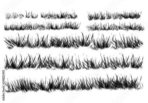 grass silhouette isolated on white