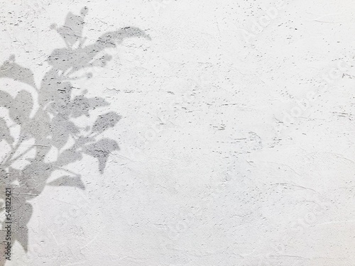 植物の影が落ちた白い漆喰の壁の背景素材　ラスター素材