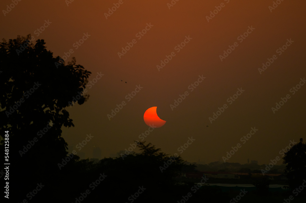 Partial solar eclipse from the farm. Partial solar eclipse from the farm.