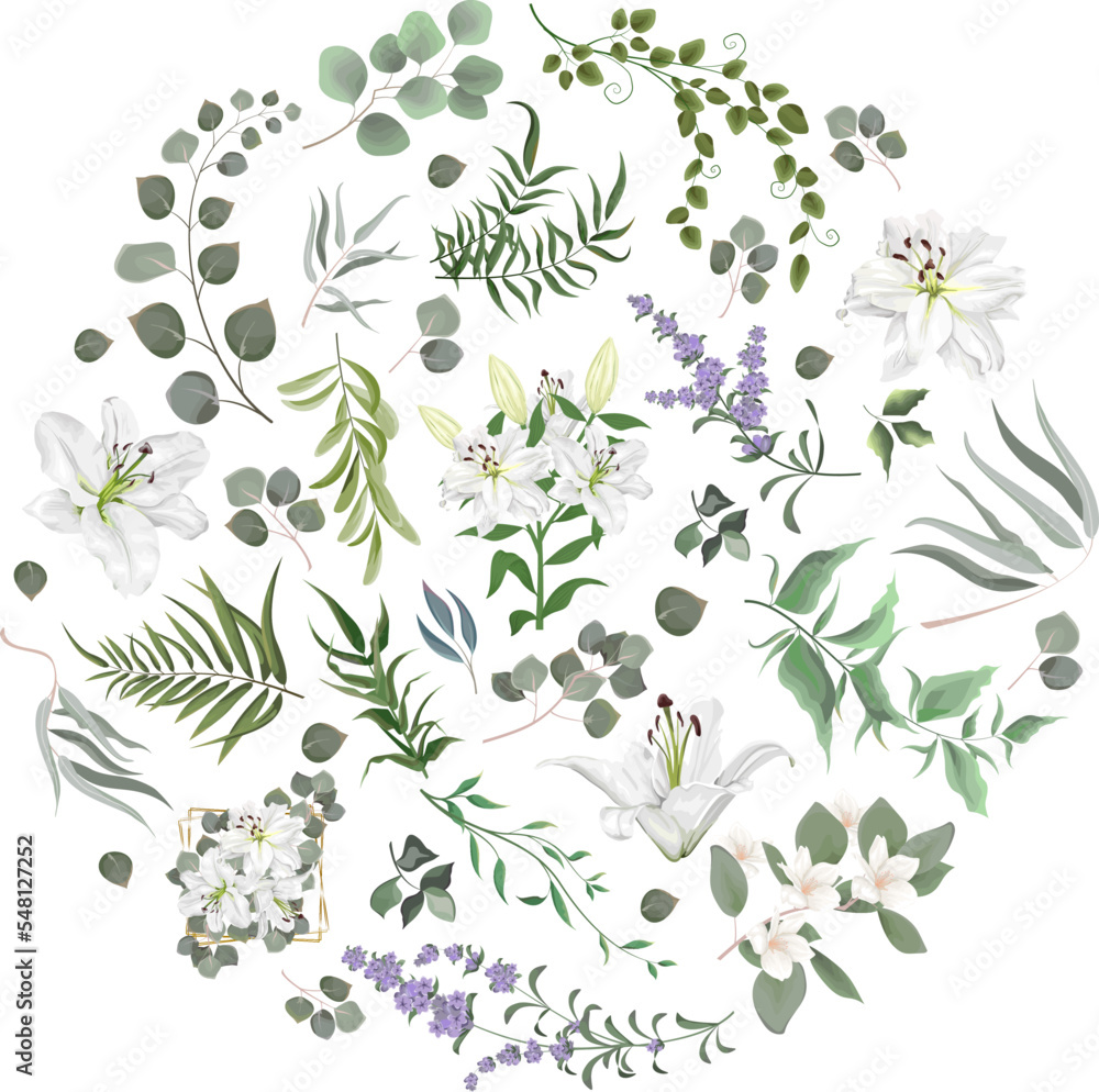 Vector Floral Set. White lilies , lavender, magnolia, eucalyptus. Different kinds of plants and leaves. Collection for wedding design 