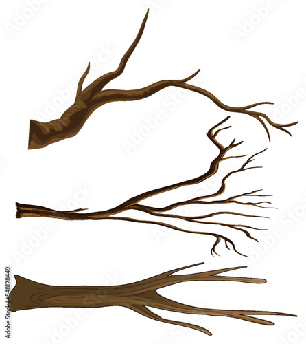 Set of different tree branches isolated