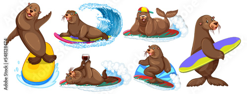 Set of different sea lions cartoon characters
